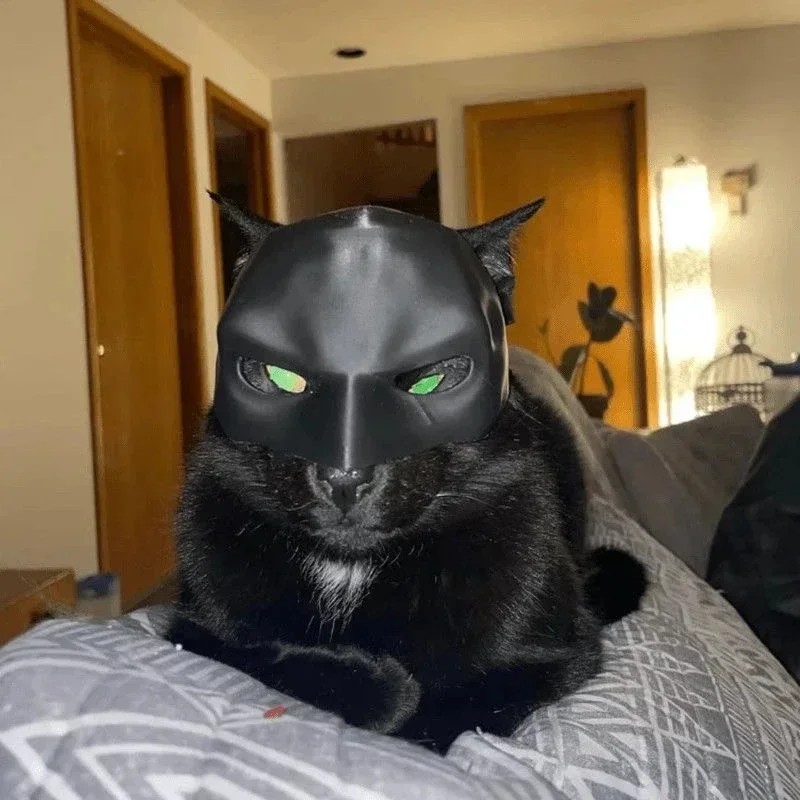 Top Quality 2026 New Cat Aveng - Cosplay Prop 3D Print review and price