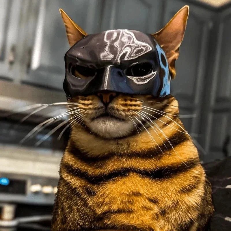 Top Quality 2026 New Cat Aveng - Cosplay Prop 3D Print review and price